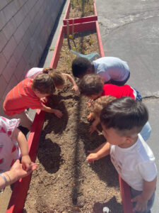 Children planting seeds and patting down soil in a garden during an outdoor preschool daycare activity.
