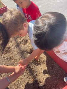 Preschool kids playing with soil in the garden during an outdoor learning activity.